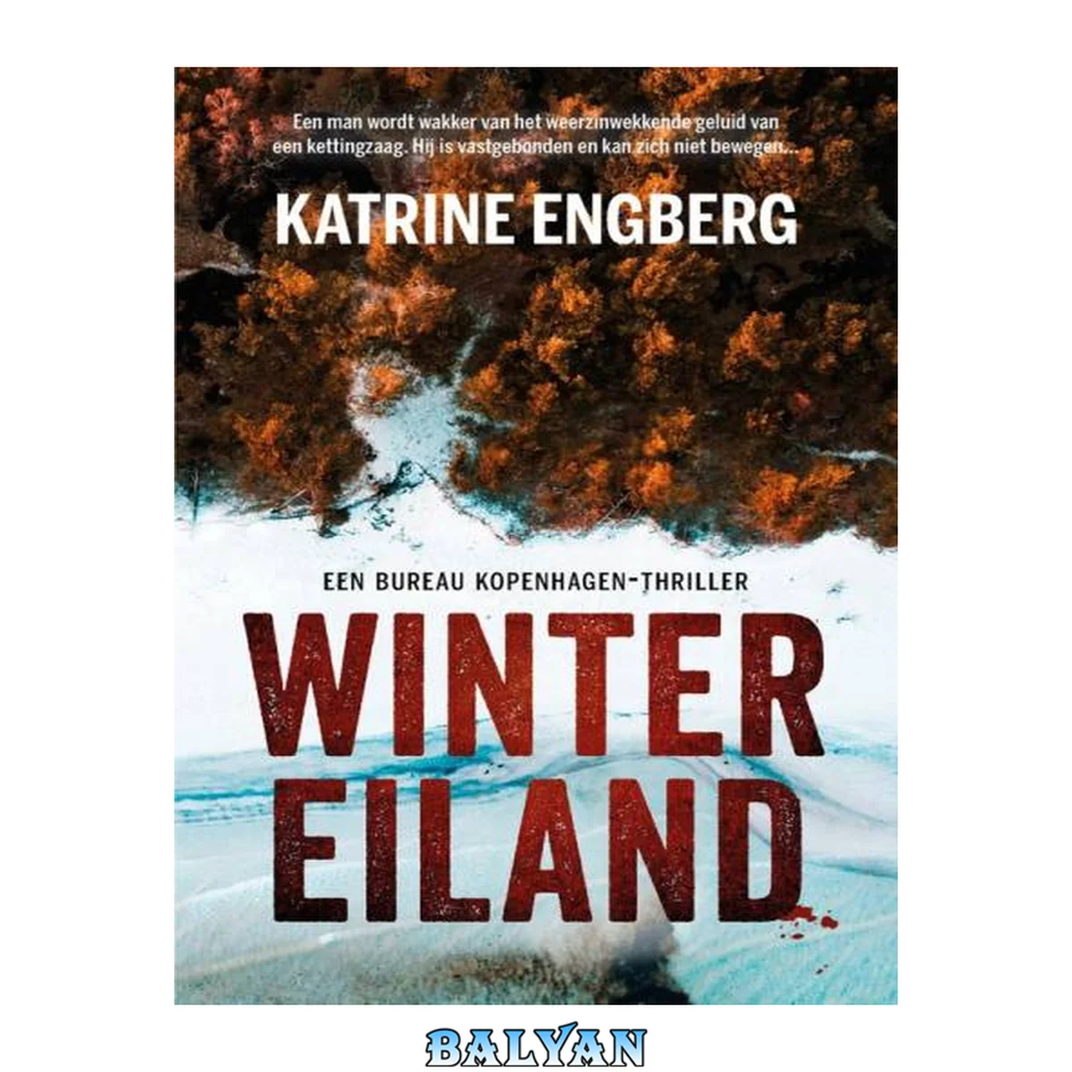 جلد کتاب Bureau Kopenhagen 04 - Wintereiland