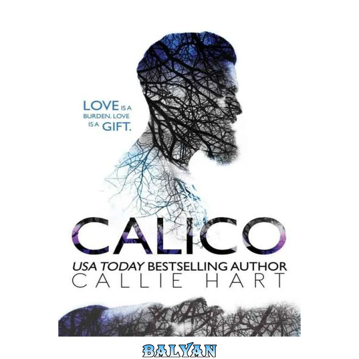 جلد کتاب Calico