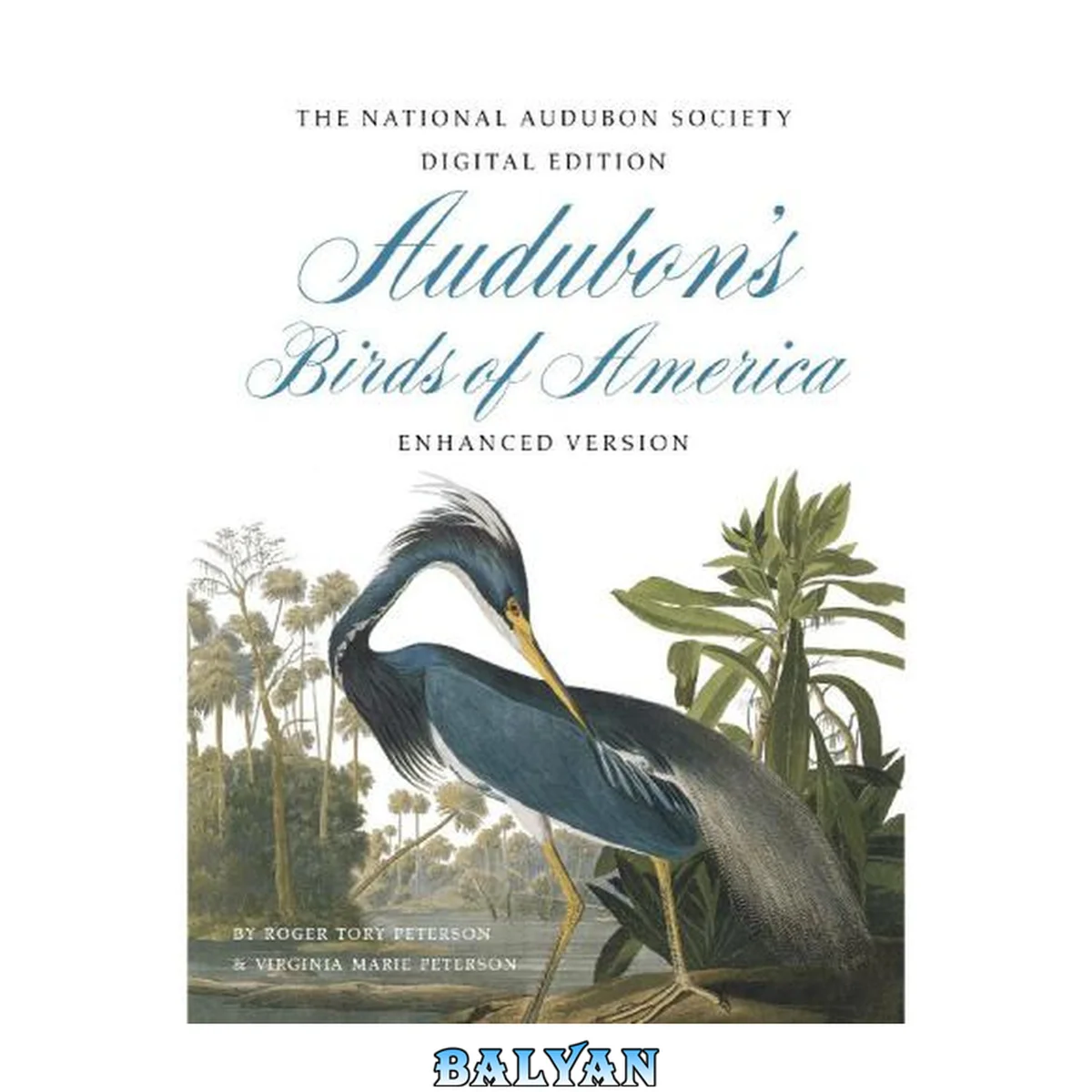 جلد کتاب Treasury of Audubon Birds : 130 Plates from the Birds of America