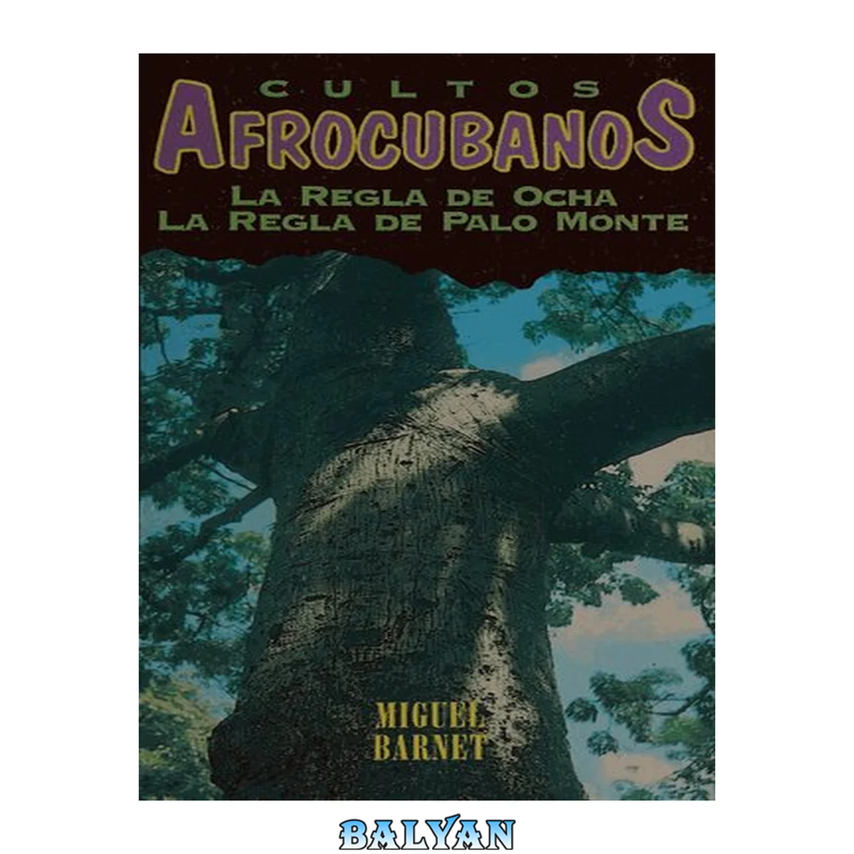 جلد کتاب Cultos Afrocubanos: La Regla De Ocha, La Regla De Palo Monte (spanish Edition)