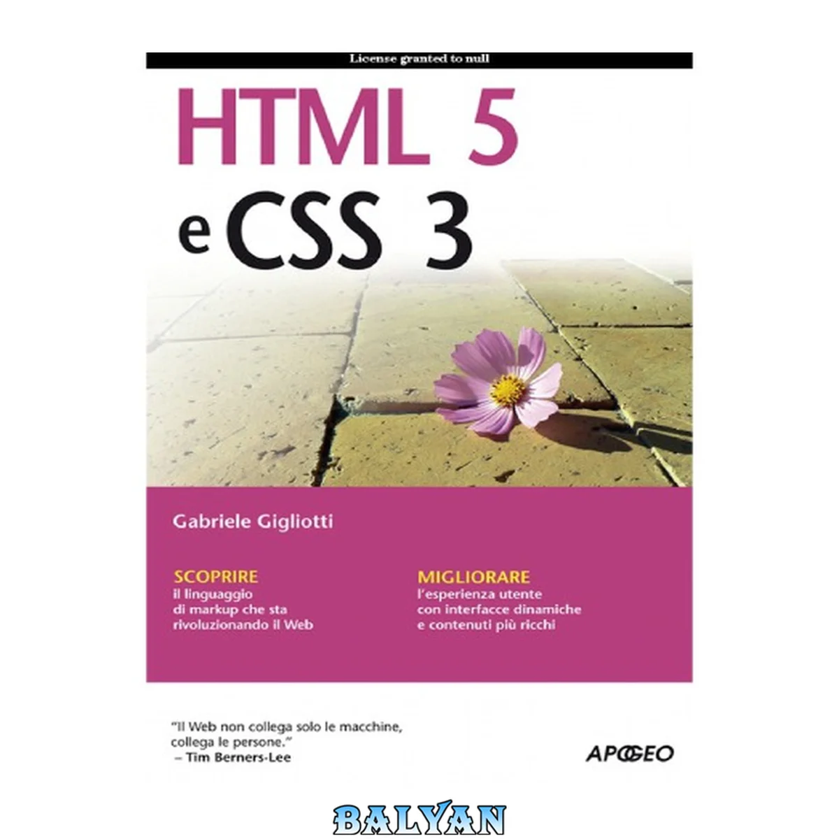 جلد کتاب HTML 5 e CSS 3 : [scoprire il linguaggio di markup che sta rivoluzionando il web, migliorare l'esperienza utente