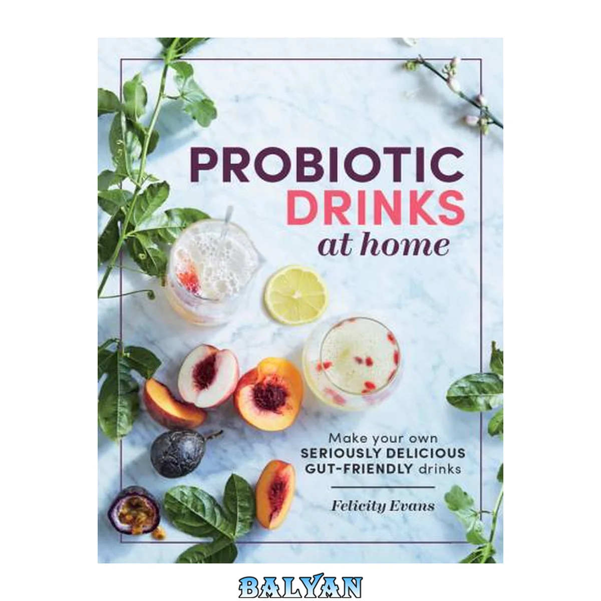 جلد کتاب Probiotic drinks at home : make your own seriously delicious gut-friendly drinks