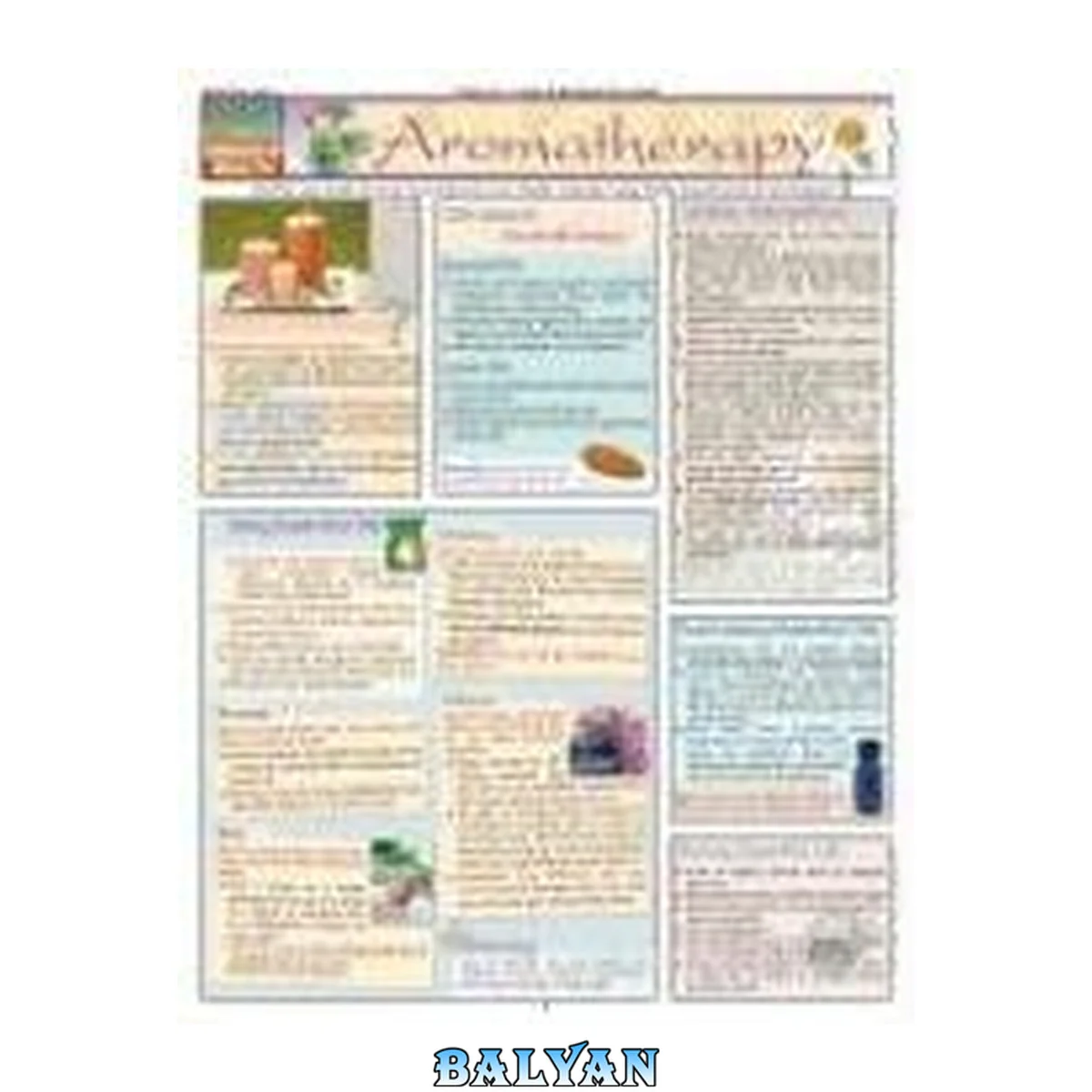 جلد کتاب Aromatherapy Laminated Reference Guide (Quickstudy: Health)