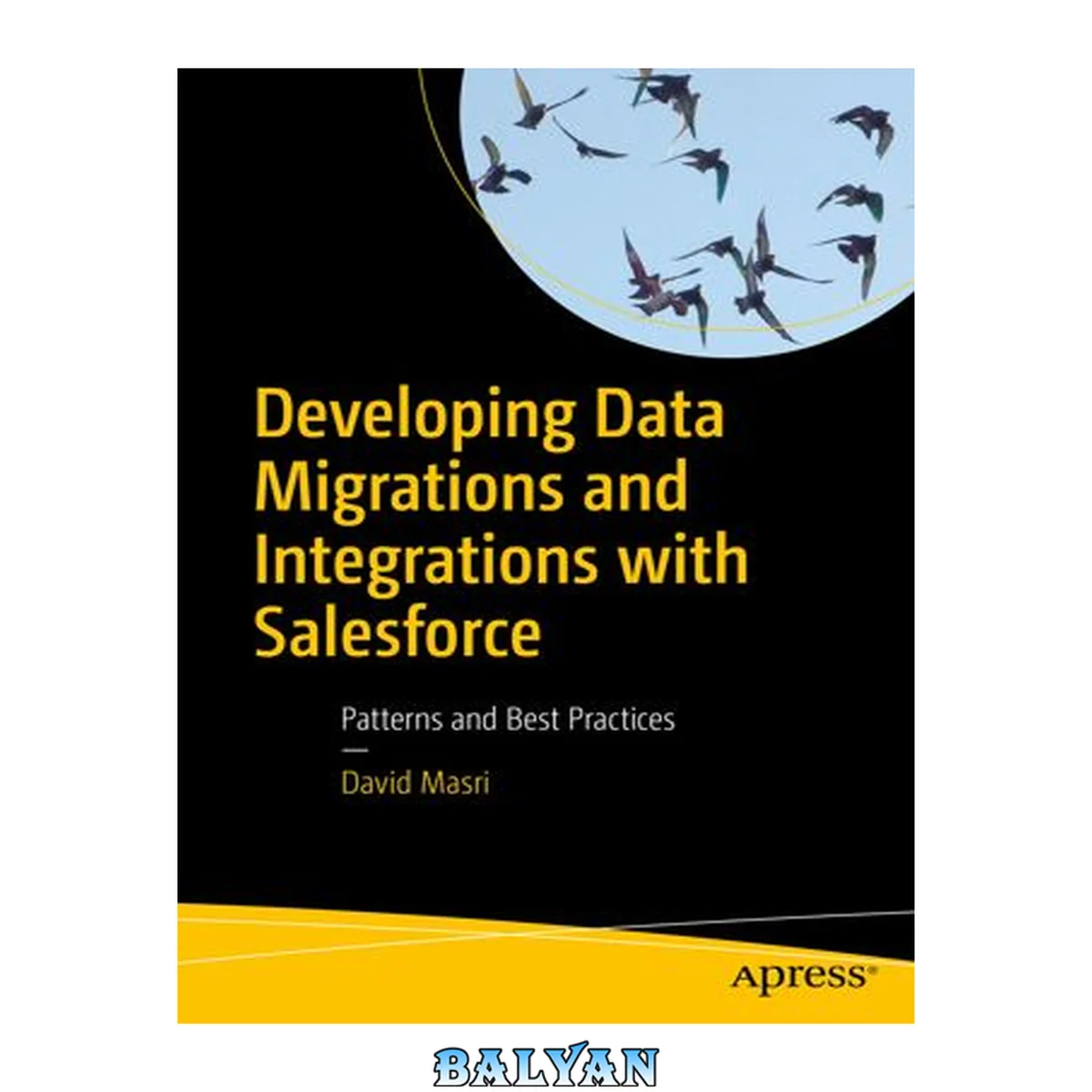 جلد کتاب Developing Data Migrations and Integrations with Salesforce : Patterns and Best Practices