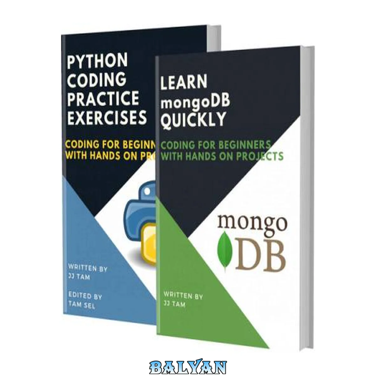 جلد کتاب LEARN MONGODB QUICKLY AND PYTHON CODING PRACTICE EXERCISES: Coding For Beginners