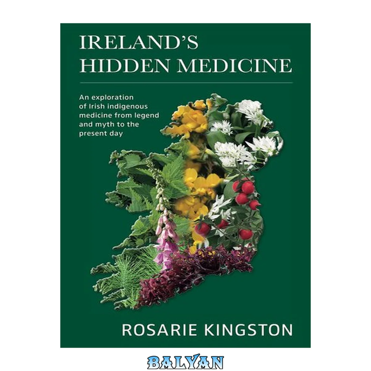 جلد کتاب Ireland's Hidden Medicine : An Exploration of Irish Indigenous Medicine From Legend and Myth to the Present Day