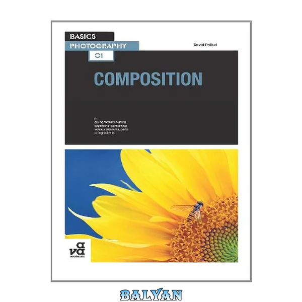 Basics Photography 01: Composition (Basics Photography 1)