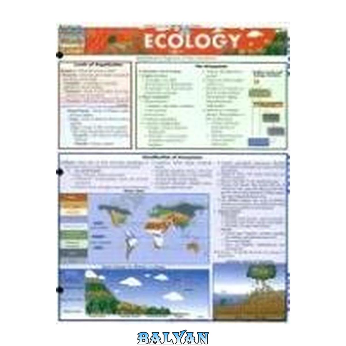 جلد کتاب Ecology Laminate Reference Chart
            
                Quickstudy Academic
