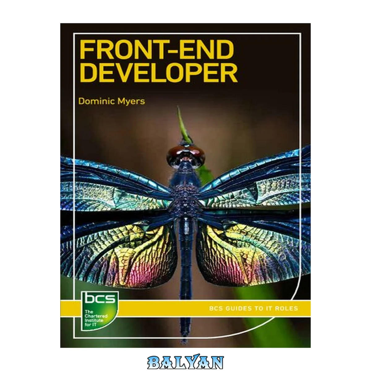جلد کتاب Front-End Developer (BCS Guides to IT Roles)
