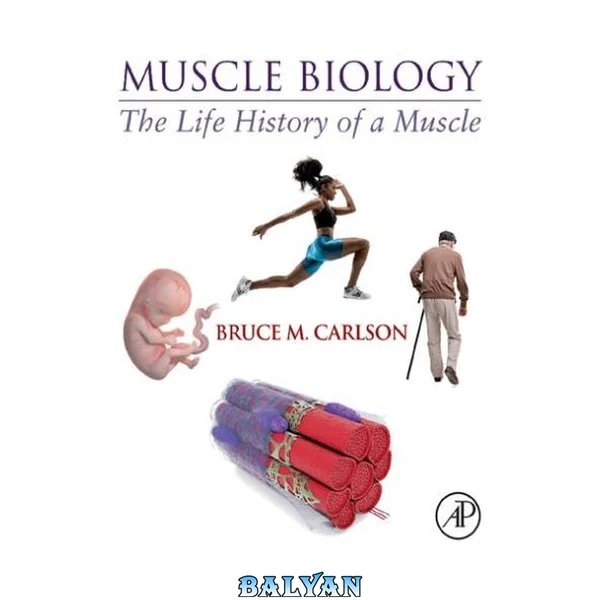 Muscle Biology : The Life History of a Muscle