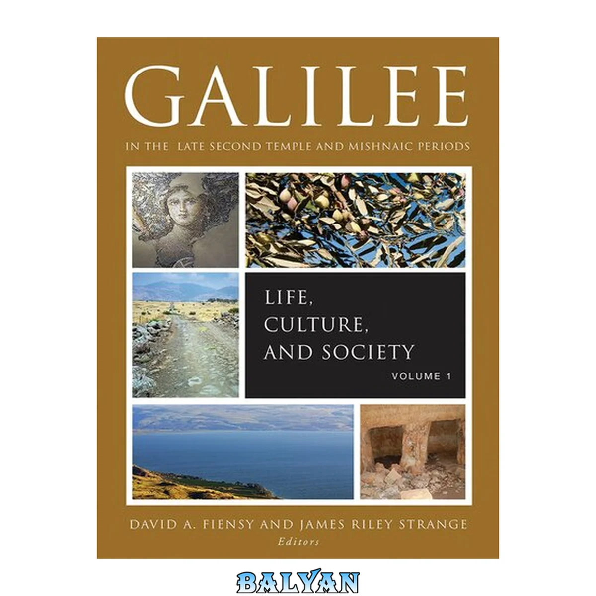 جلد کتاب Galilee in the Late Second Temple and Mishnaic Periods, Volume 1: Life, Culture, and Society