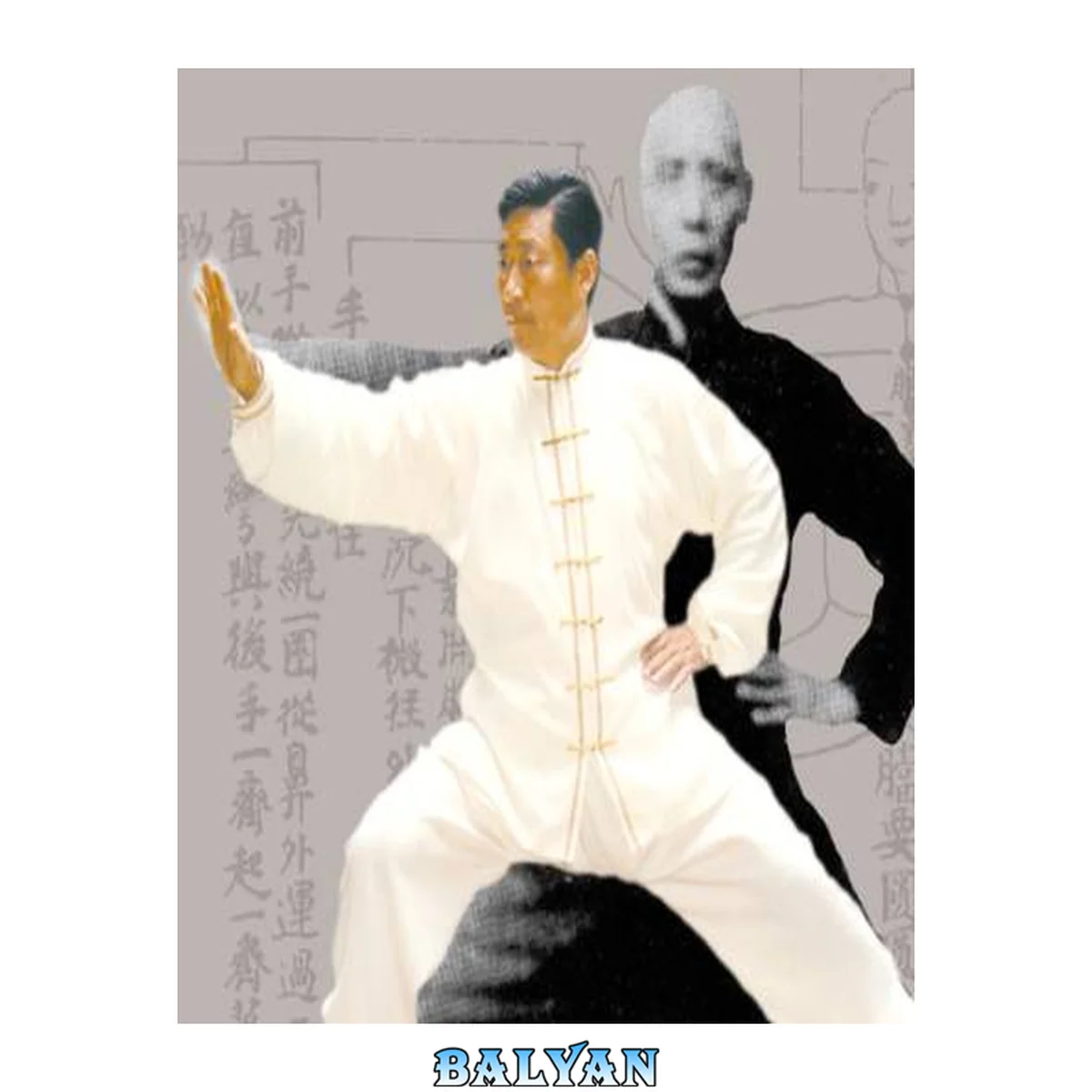 جلد کتاب Comments on Selections from Chen Xin’s Illustrated Explanations of Chen Taijiquan with Commentary from Chen Xiaowang