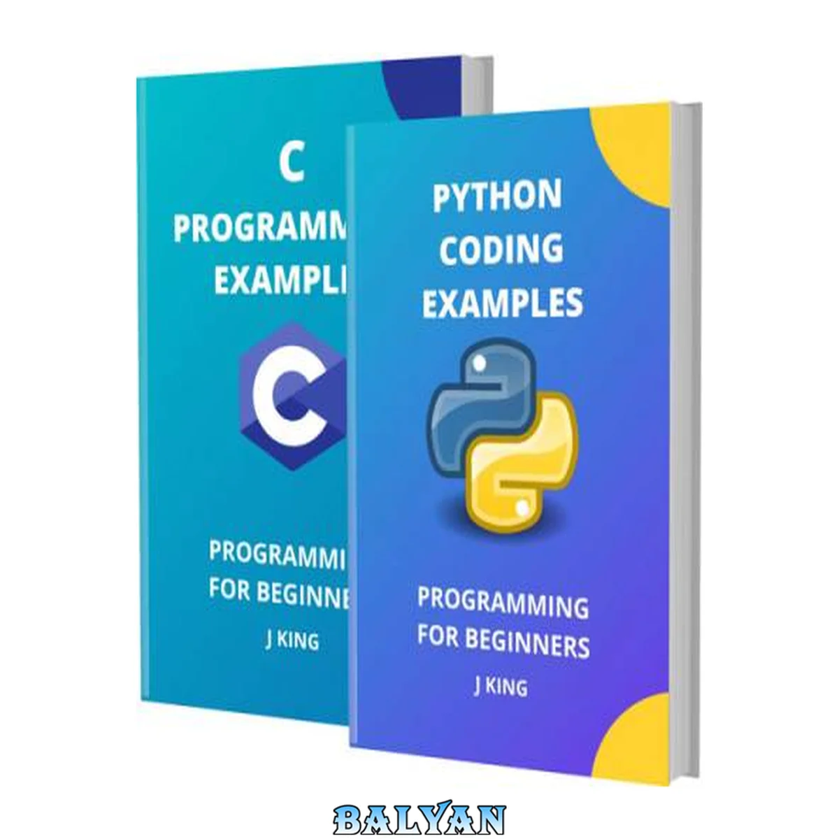 جلد کتاب Python Coding and C Programming Examples: Programming for Stupid