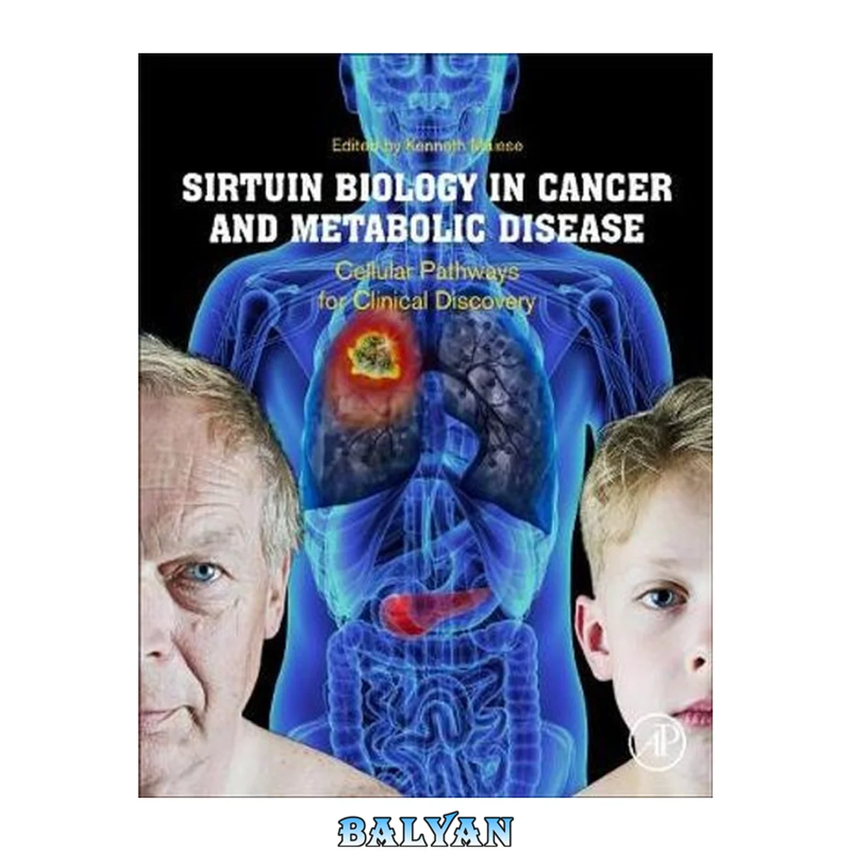 جلد کتاب Sirtuin Biology in Cancer and Metabolic Disease : Cellular Pathways for Clinical Discovery