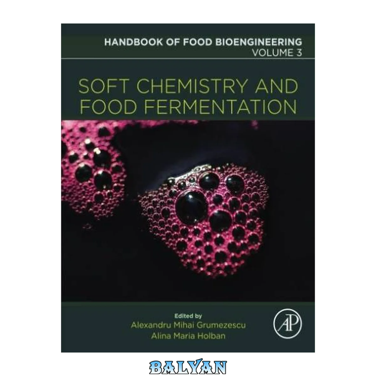 جلد کتاب Handbook of Food Bioengineering, Volume 3 : Soft Chemistry and Food Fermentation