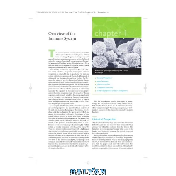 Immunology
