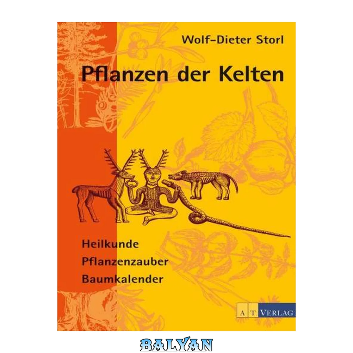 جلد کتاب Pflanzen der Kelten: Heilkunde Pflanzenzauber Baumkalender