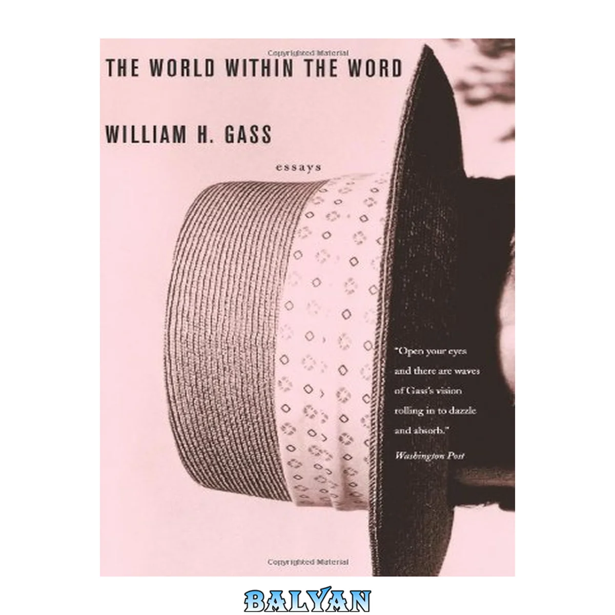 جلد کتاب The World Within the Word : Essays