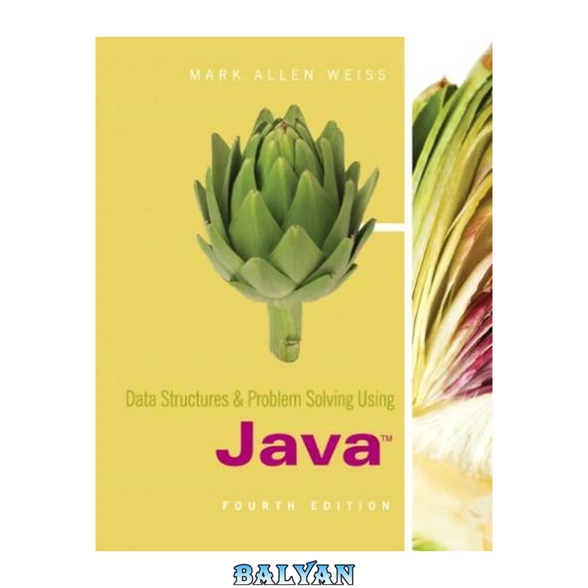 جلد کتاب Data Structures &amp; Problem Solving Using Java. Fourth Edition