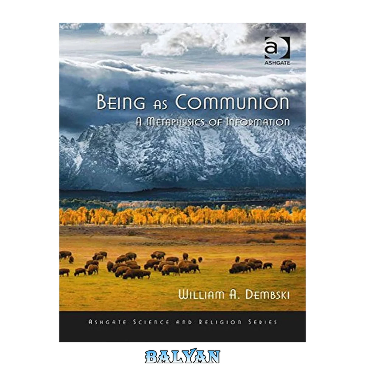 جلد کتاب Being as Communion: The Metaphysics of Information (Ashgate Science and Religion Series)