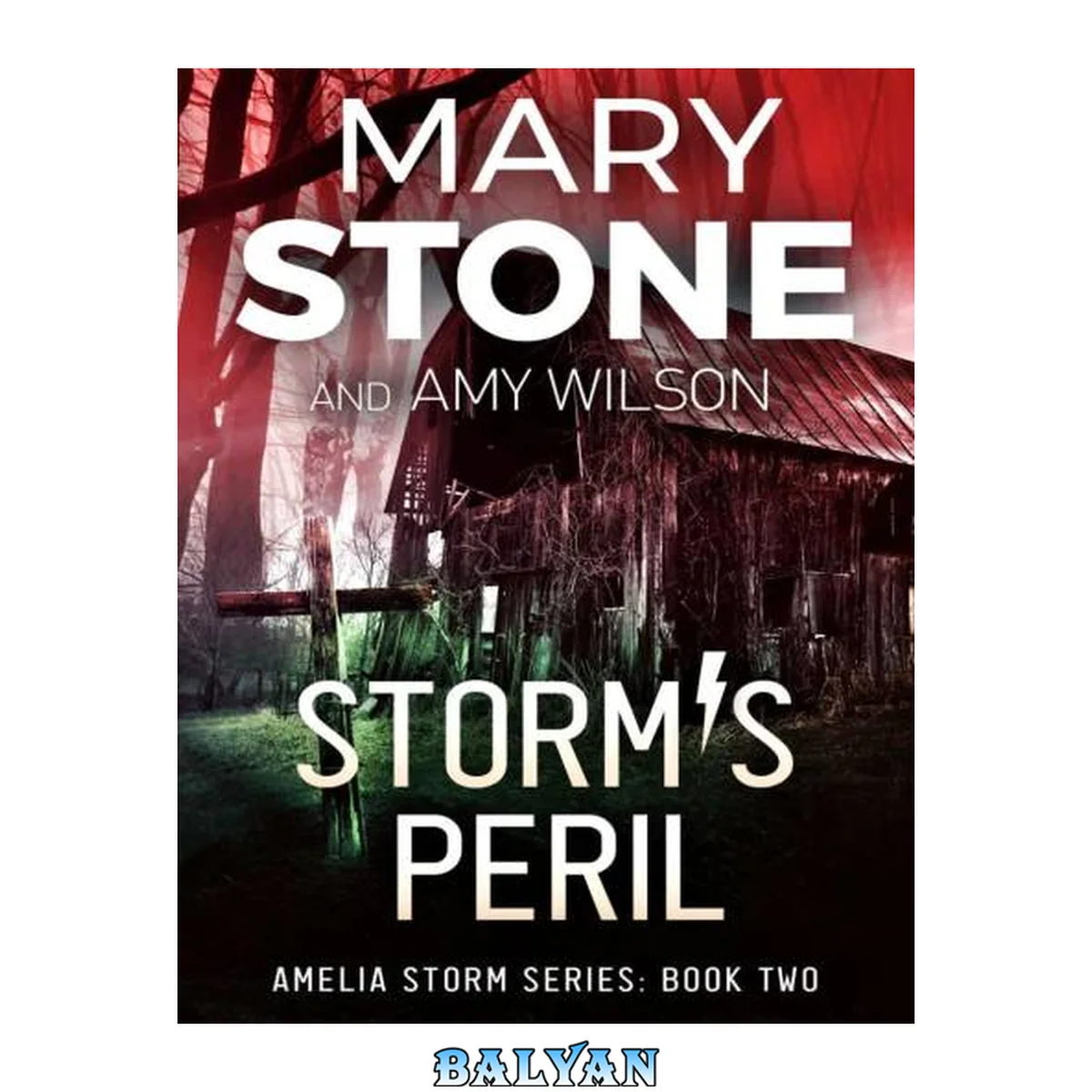 جلد کتاب Storm's Peril