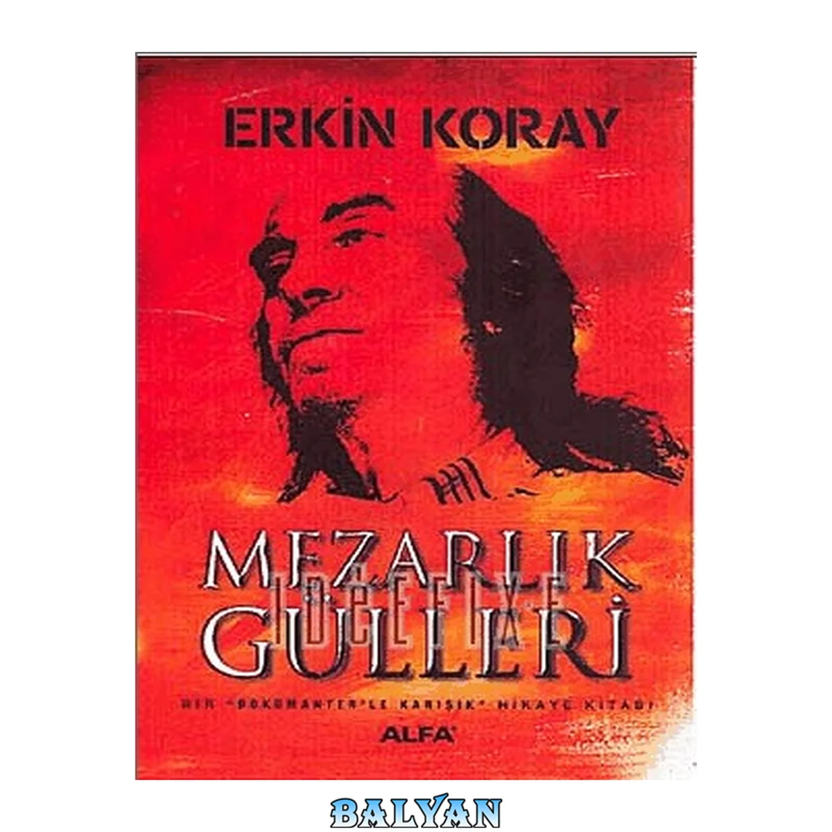 جلد کتاب Mezarlık gülleri: bir "dokümanter'le karışık" hikaye kitabı