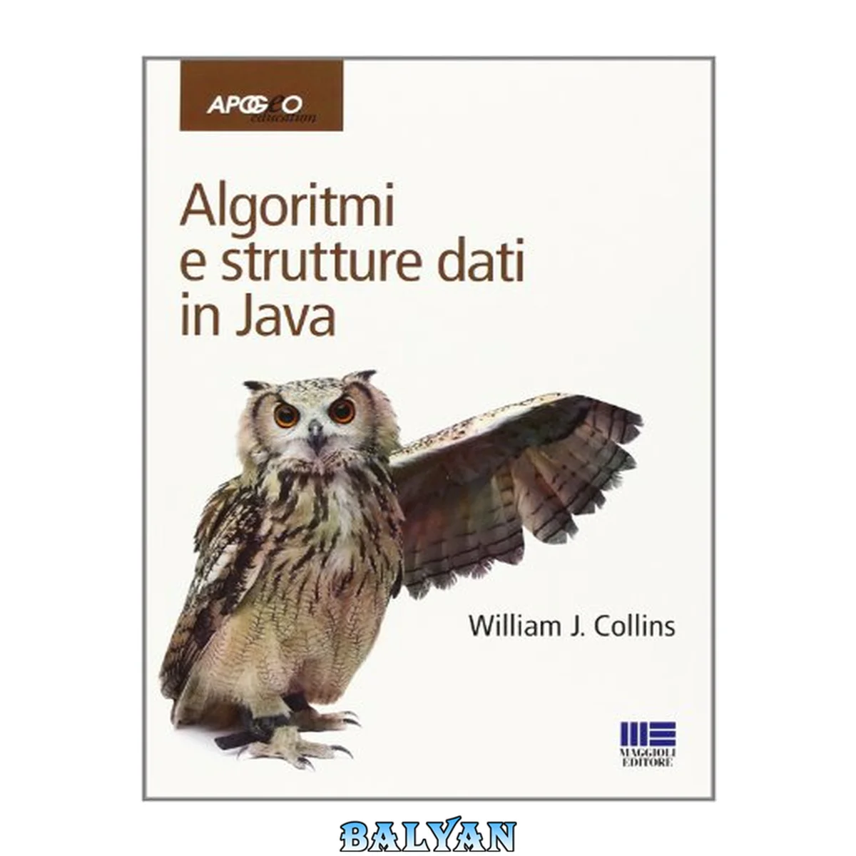 جلد کتاب Algoritmi e strutture dati [in Java]