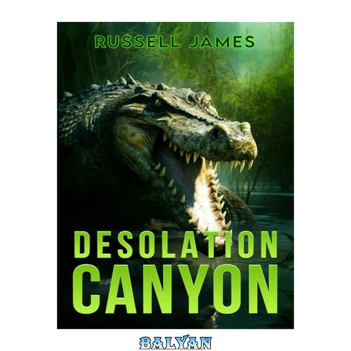 جلد کتاب Desolation Canyon