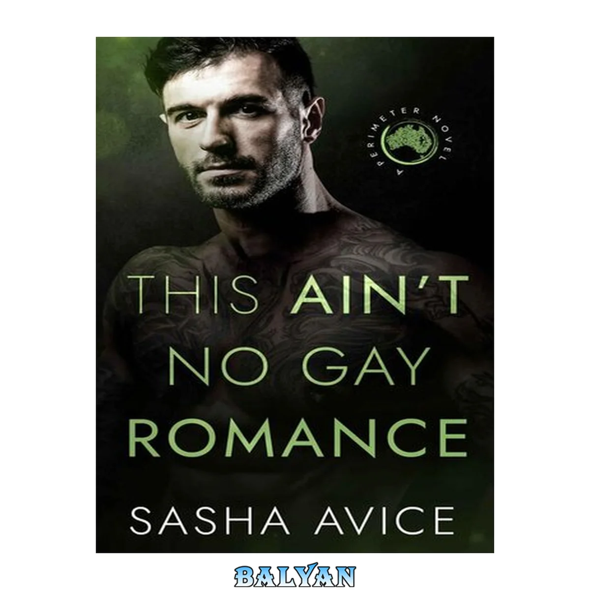جلد کتاب This Ain't No Gay Romance