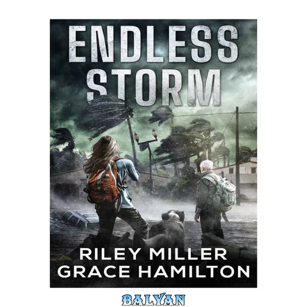 Endless Storm - An Apocalyptic Thriller