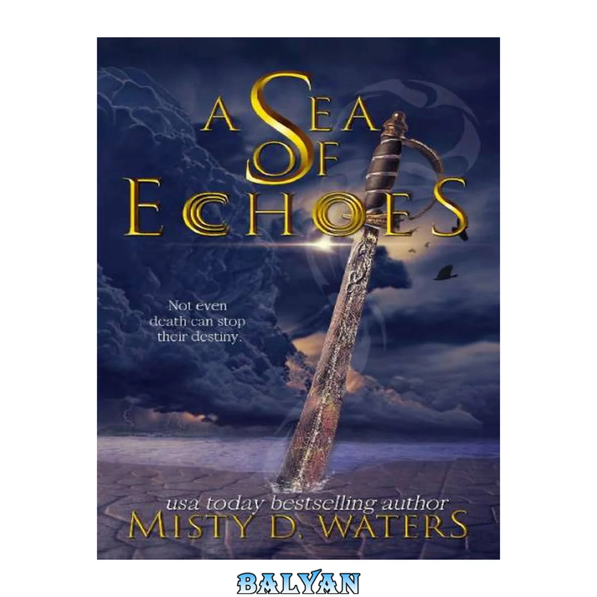 جلد کتاب A Sea of Echoes