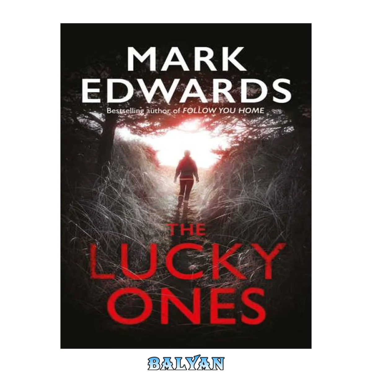 جلد کتاب The Lucky Ones
