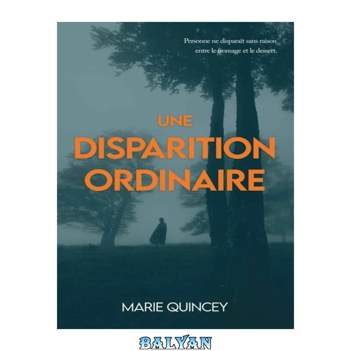 جلد کتاب Une Disparition Ordinaire (French Edition)