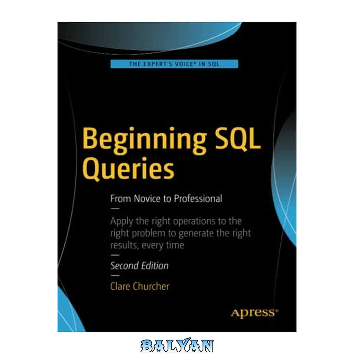 جلد کتاب Beginning SQL Queries : From Novice to Professional