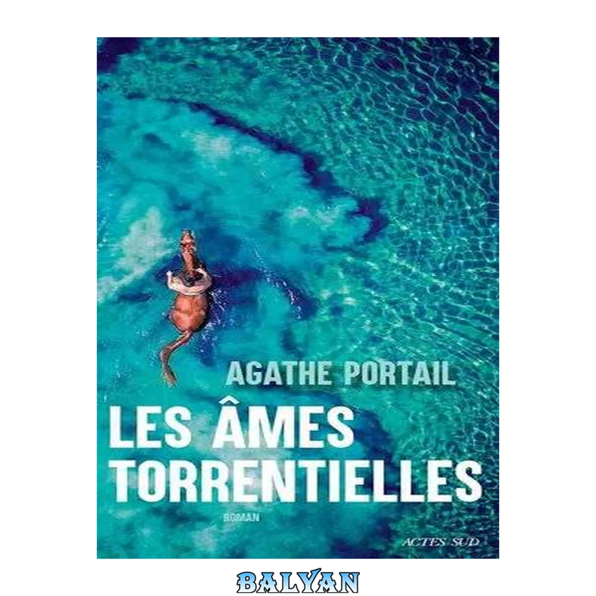 جلد کتاب Les âmes torrentielles