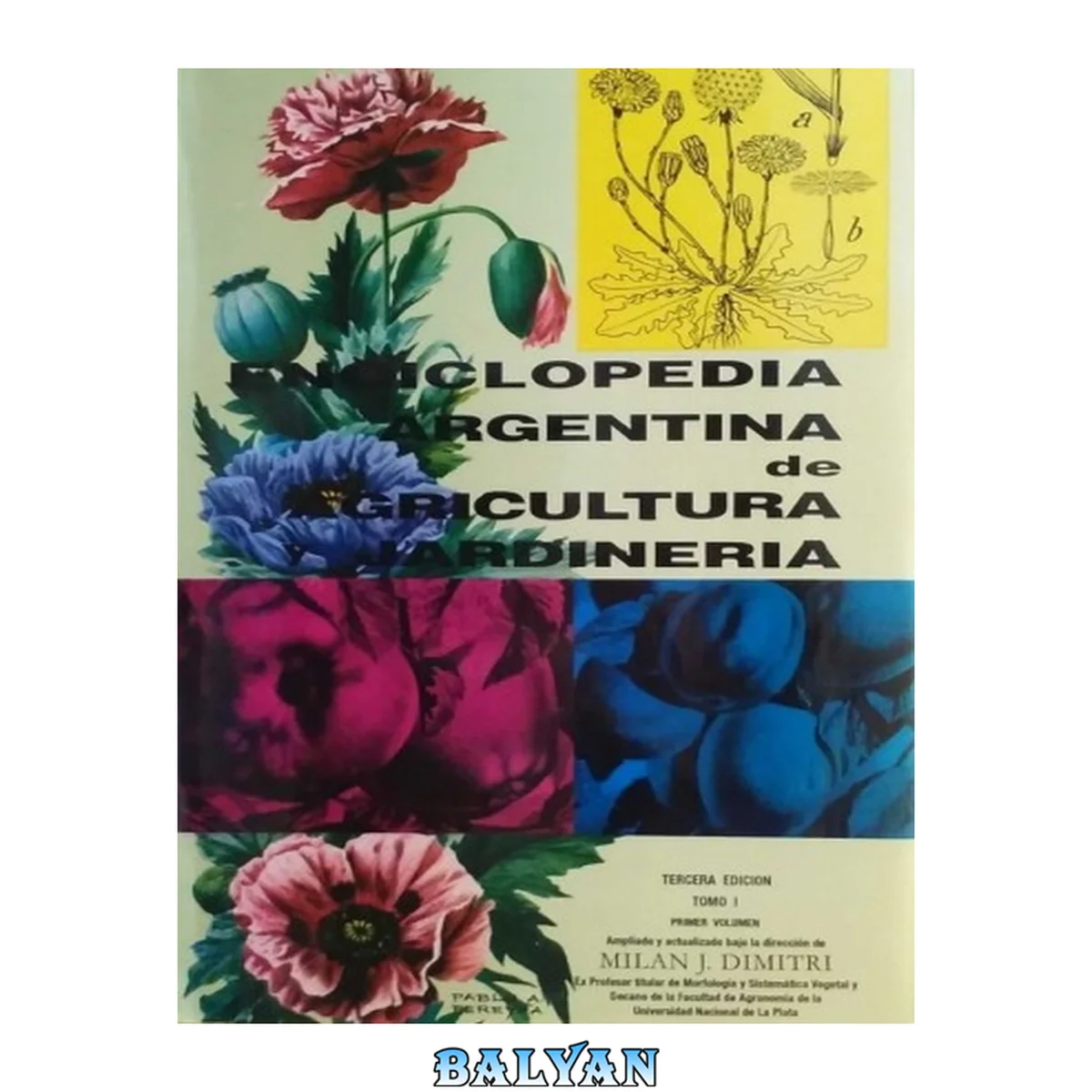 جلد کتاب Enciclopedia Argentina de Agricultura y Jardinería 1