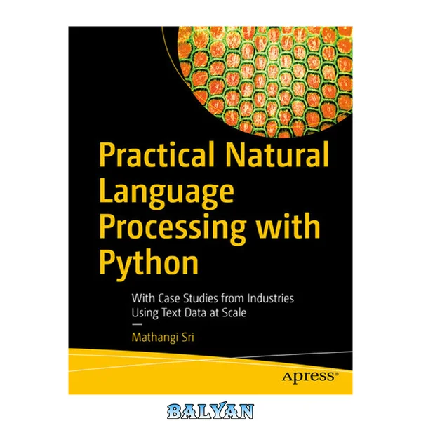 Practical Natural Language Processing with Python : With Case Studies From Industries Using Text Data at Scale