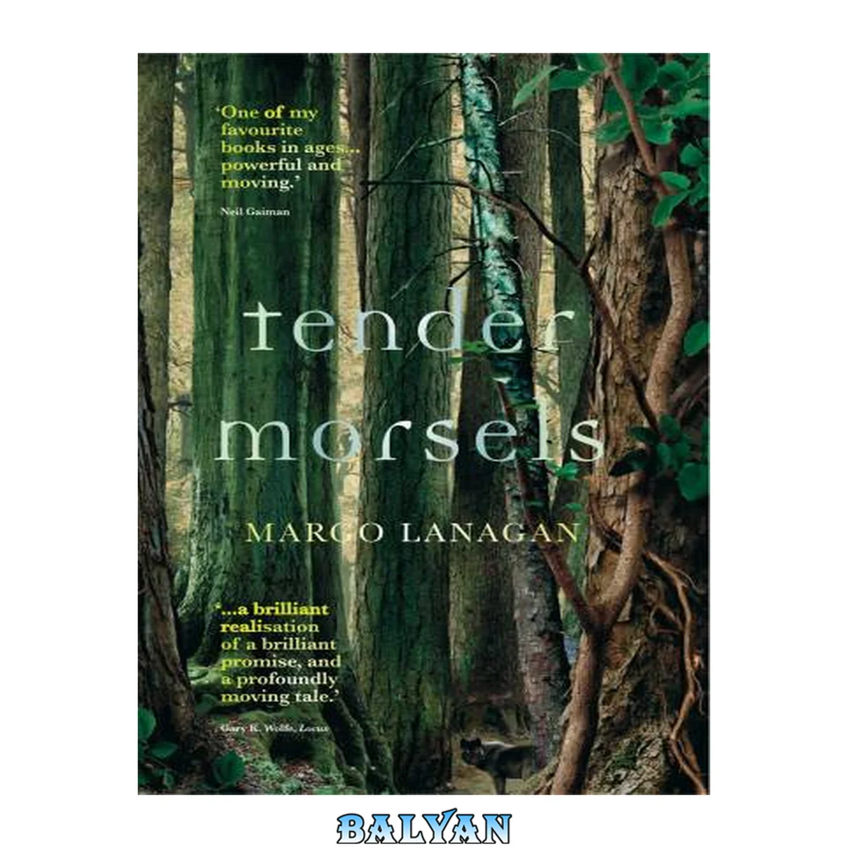 جلد کتاب Tender Morsels