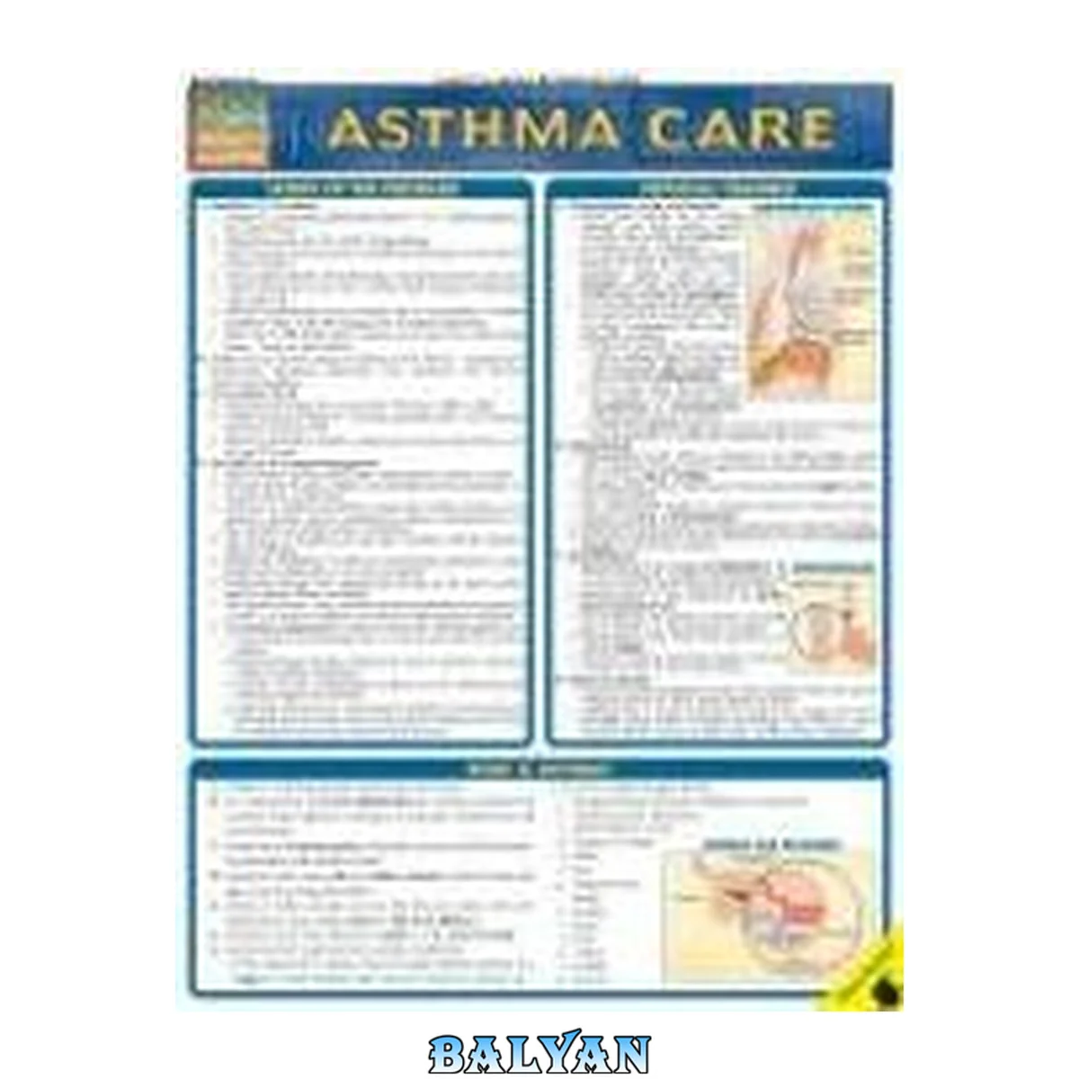 جلد کتاب Asthma Care Laminated Reference Guide (Quickstudy: Health)