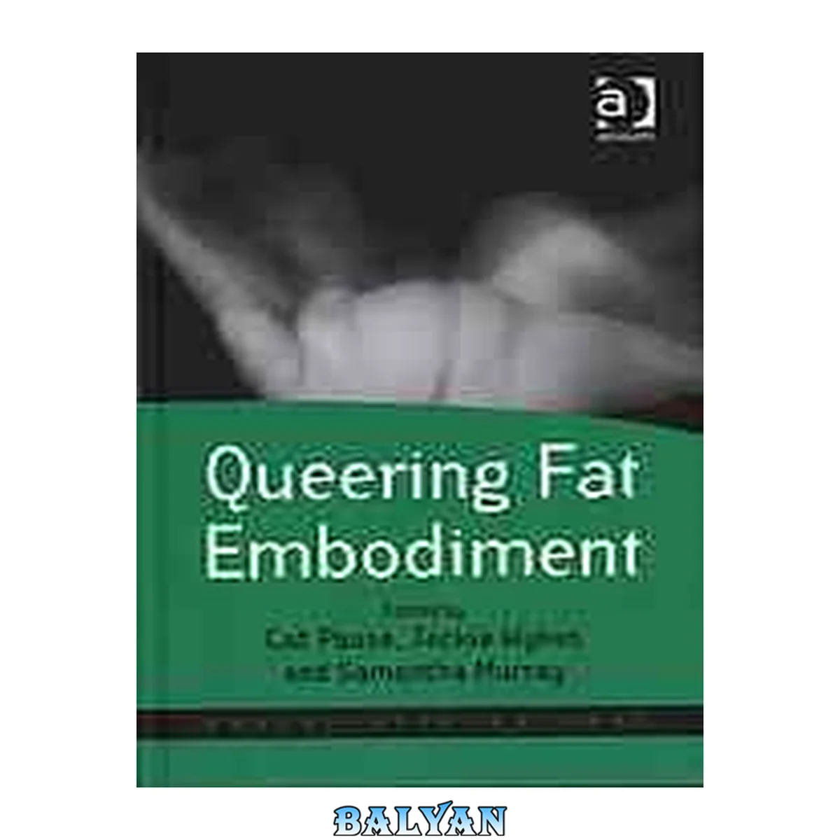 جلد کتاب Queering Fat Embodiment (Queer Interventions)