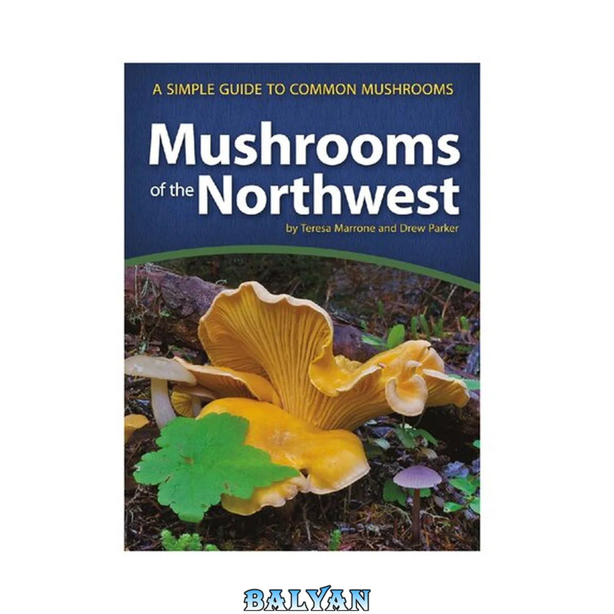 جلد کتاب Mushrooms of the Northwest: A Simple Guide to Common Mushrooms (Mushroom Guides)