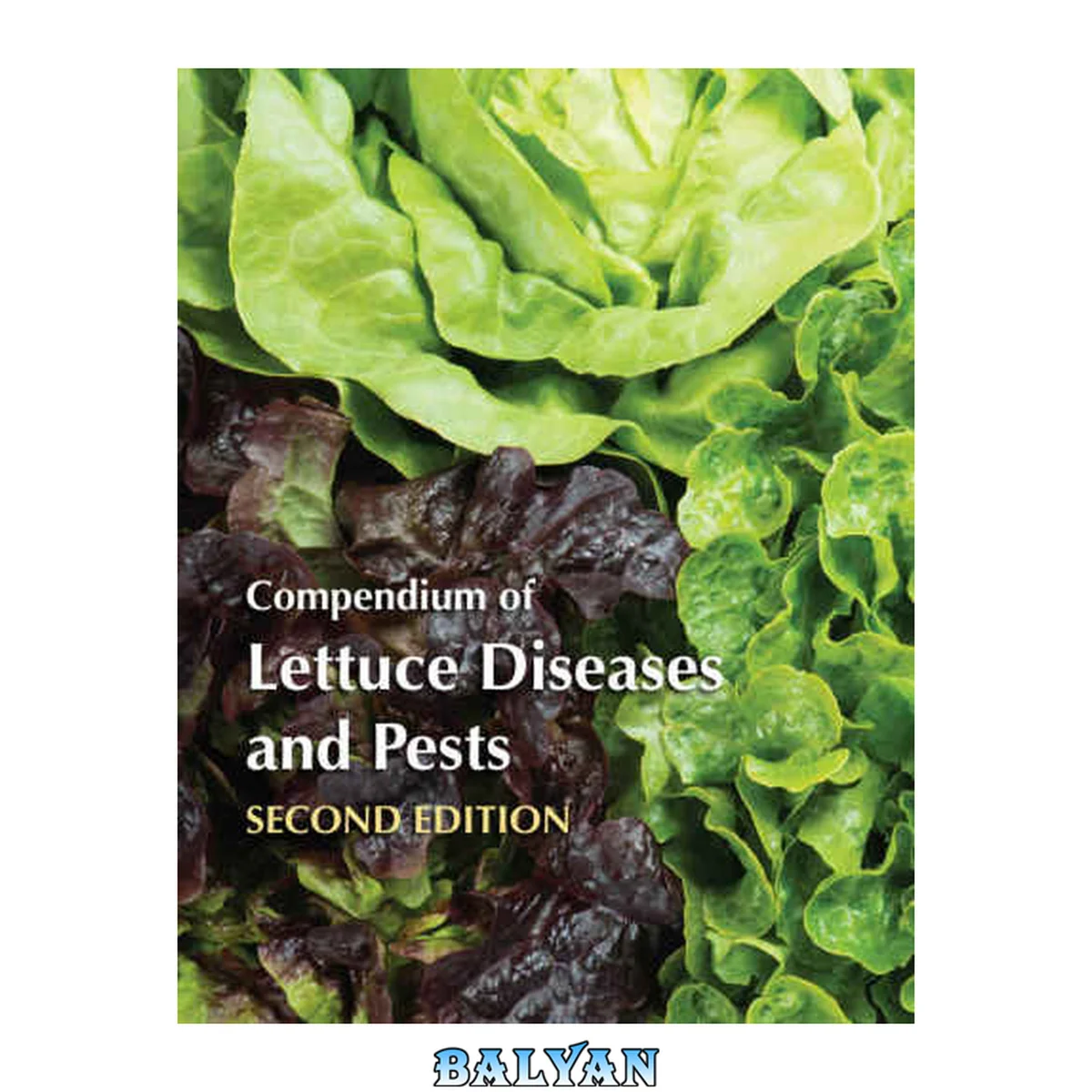 جلد کتاب Compendium of Lettuce Diseases and Pests, Second Edition