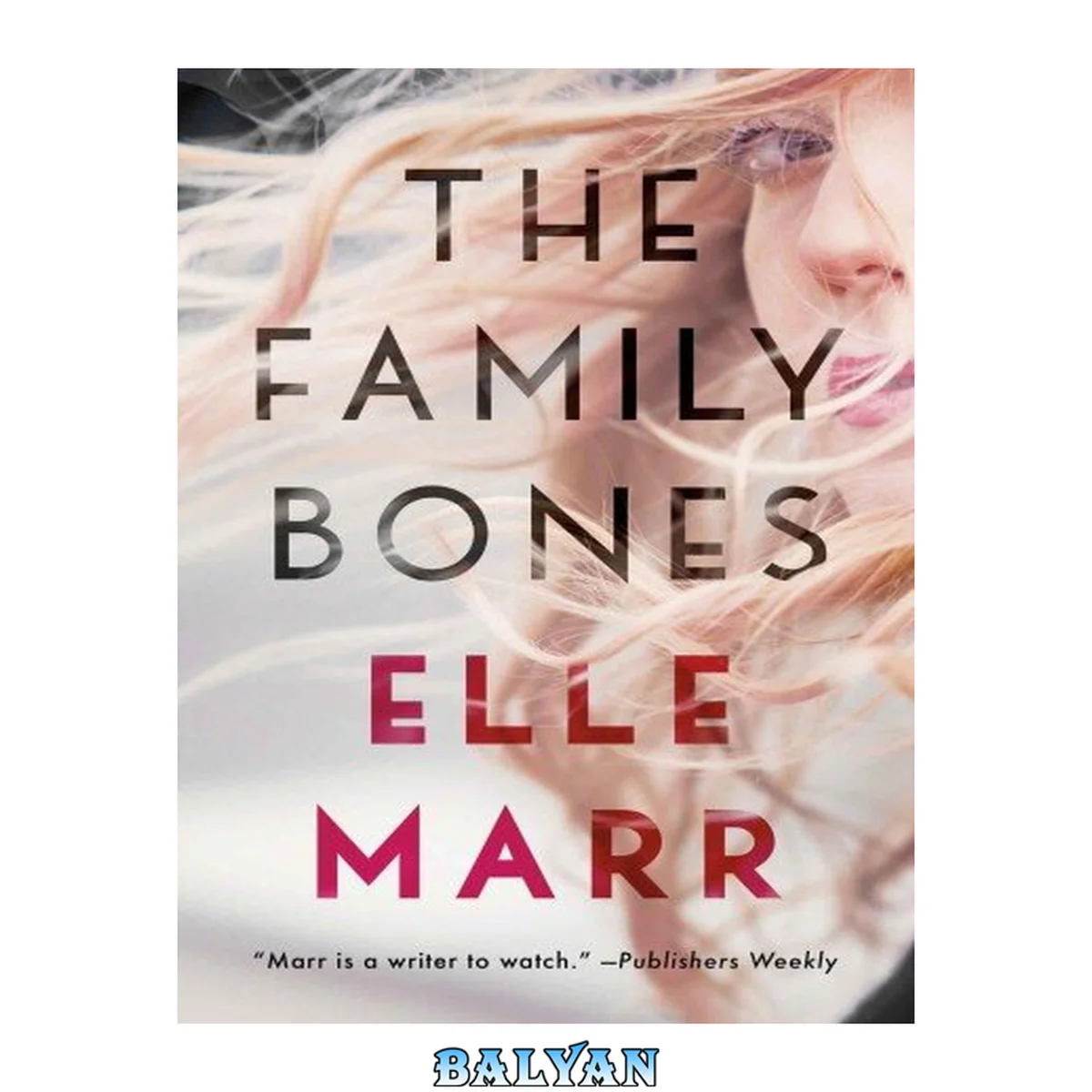 جلد کتاب The Family Bones