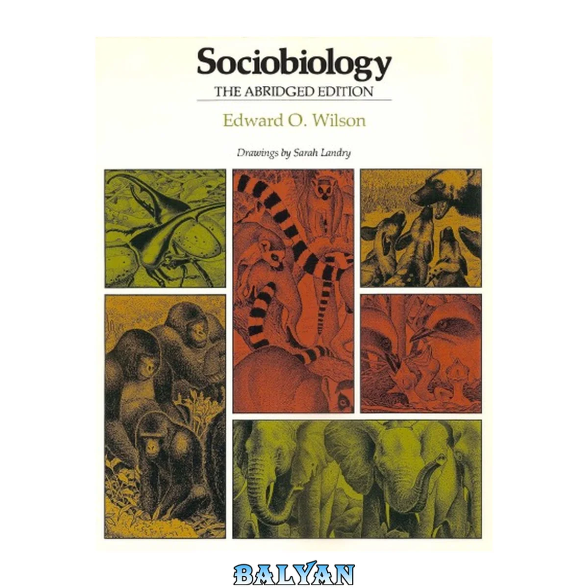جلد کتاب Sociobiology: The Abridged Edition