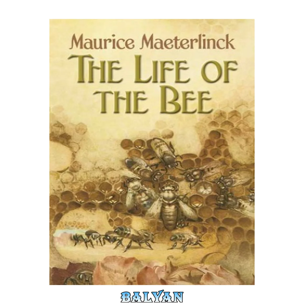 جلد کتاب The Life of the Bee