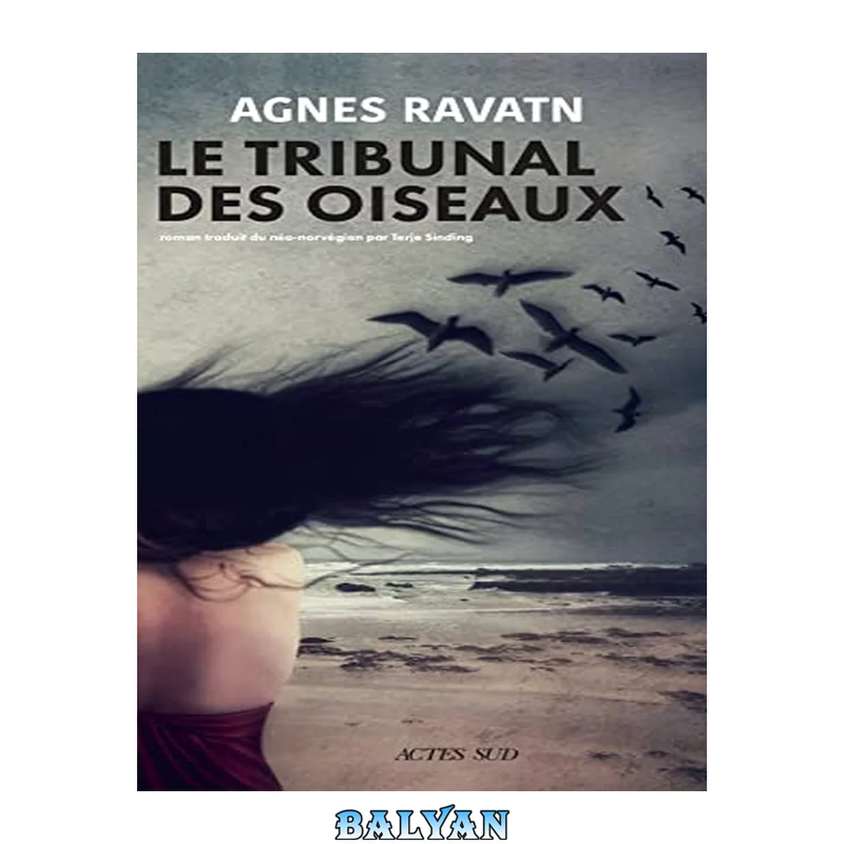 جلد کتاب Le tribunal des oiseaux