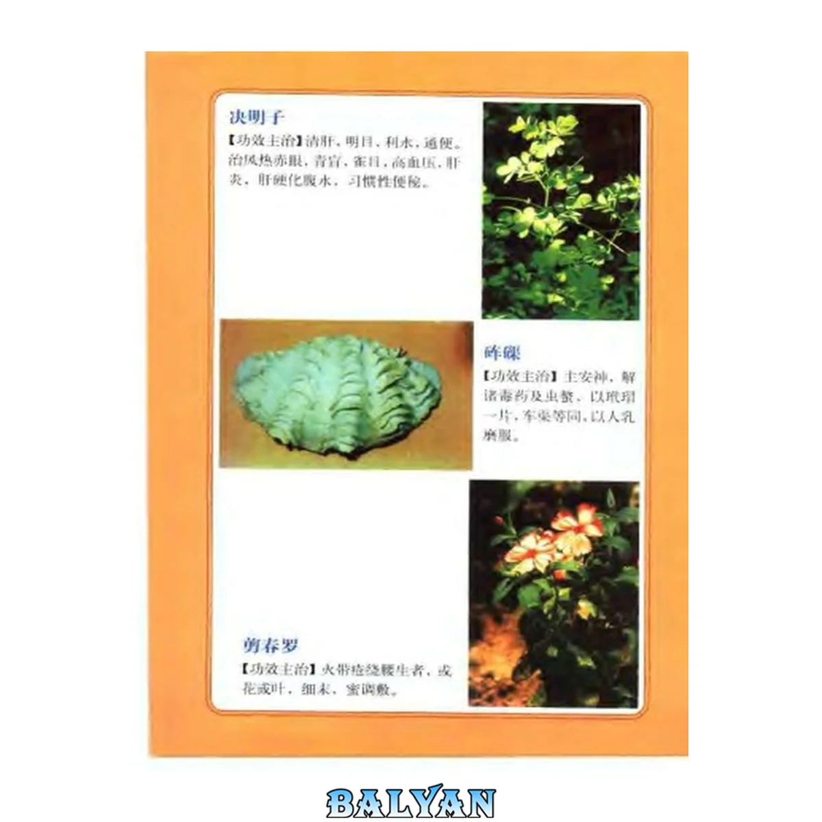 جلد کتاب 中药图谱  （彩色图文版）