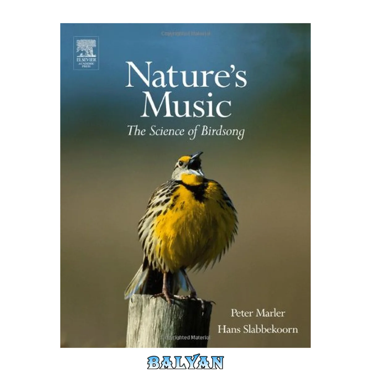 جلد کتاب Nature's Music : The Science of Birdsong