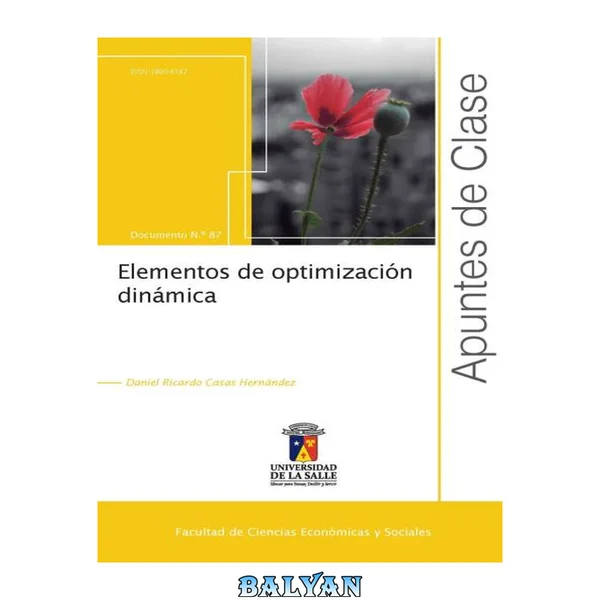 Elementos de optimización dinámica