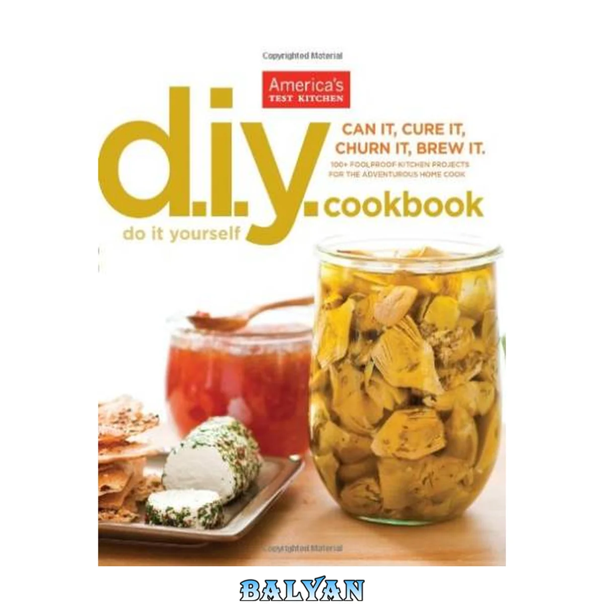 جلد کتاب The America's test kitchen do it yourself cookbook: can it, cure it, churn it, brew it: more than 100 of the test kitchen's favorite projects for the adventurous home cook